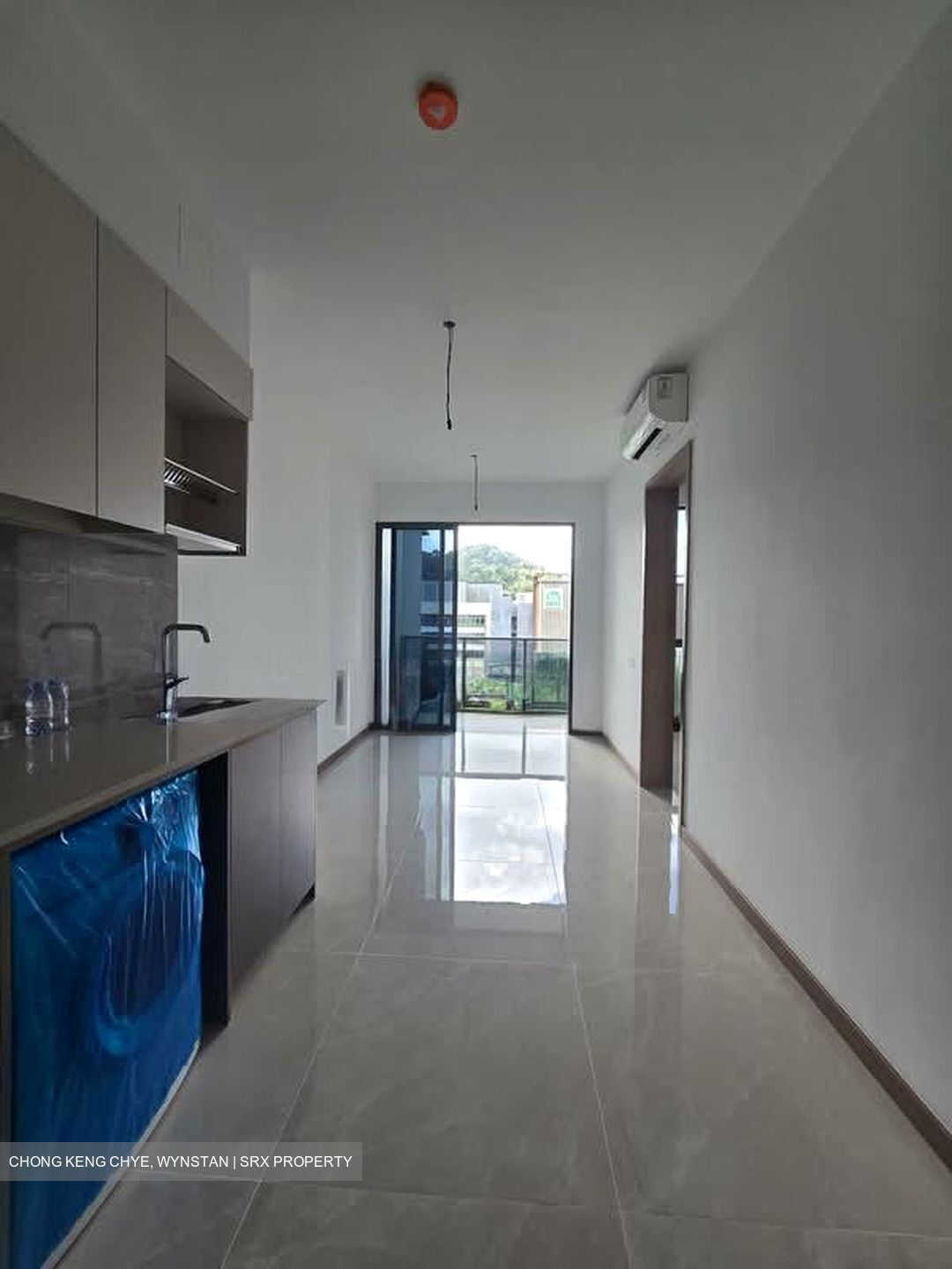 The Botany At Dairy Farm (D23), Condominium #527659921